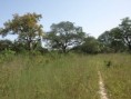 /album/photogallery/part-of-bushtrack-at-trujjerey-jpg/